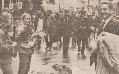 Scrapbog fra Vimmelskaftet 1984