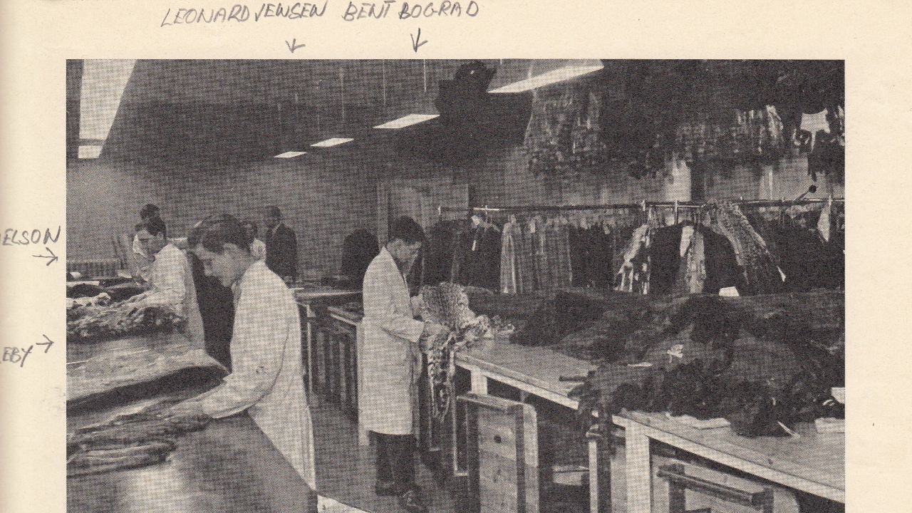 Landets mest moderne pels- og skindvarelager 1953